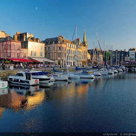 Le Patio / Les Romantiques Du Grenier A Sel * Honfleur